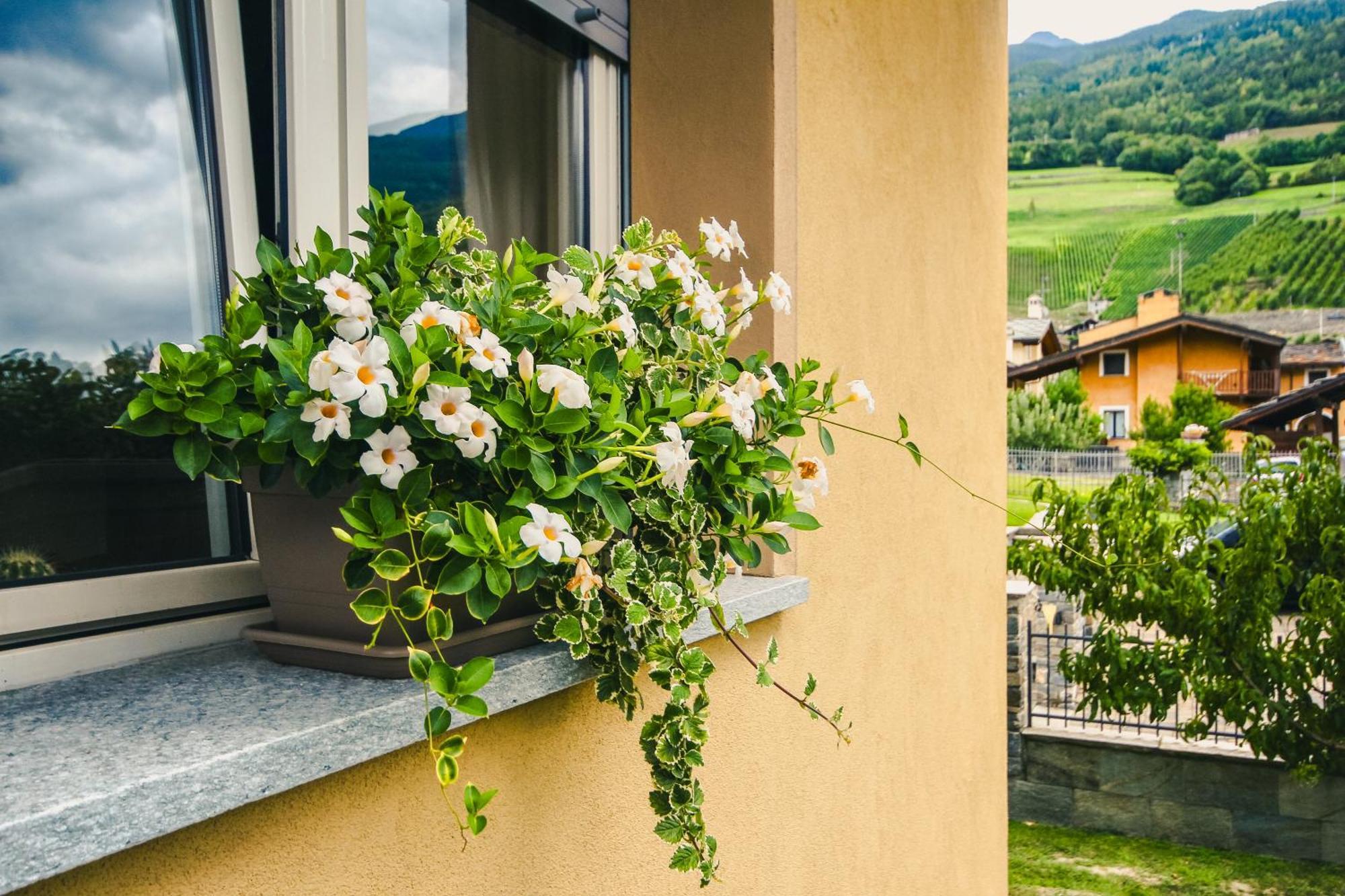 Apartment L'Envers Aosta Luaran gambar